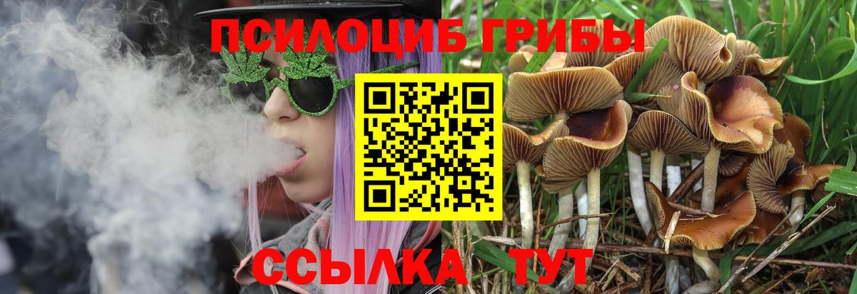 купить наркотик  Псилоцибиновые грибы Psilocybe  Вход с VPN  Сердобск  Галлюциногенные грибы мухоморы 
